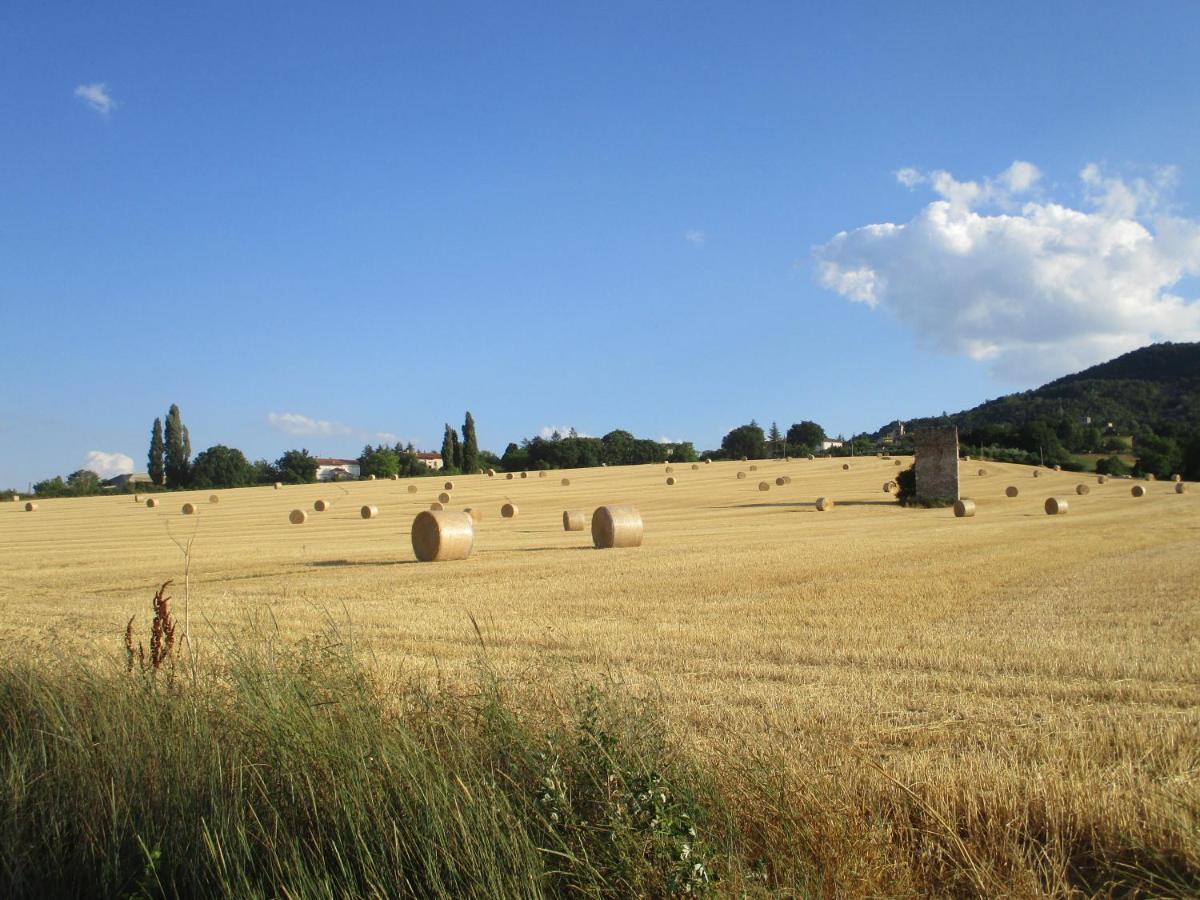 Il Risveglio Dei Sensi Fossato di Vico Exterior foto